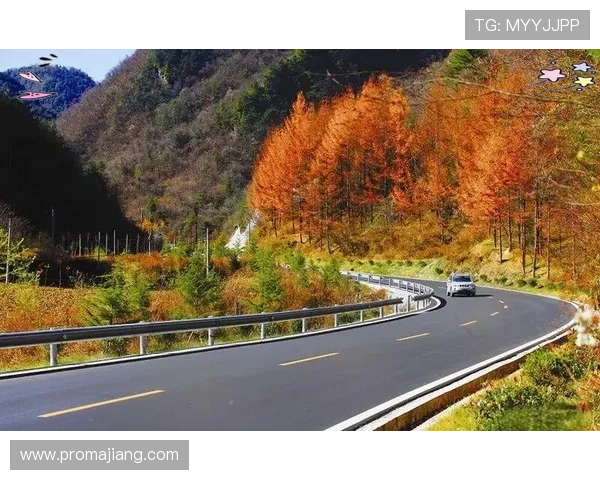 多宝真人网页入口下载手机版渠道及操作流程详尽解析